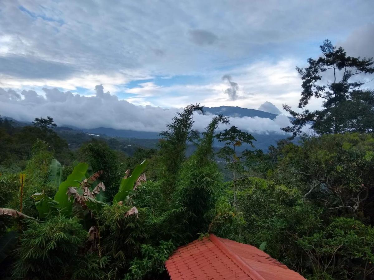 Hotel Green Mountain Turrialba Buitenkant foto