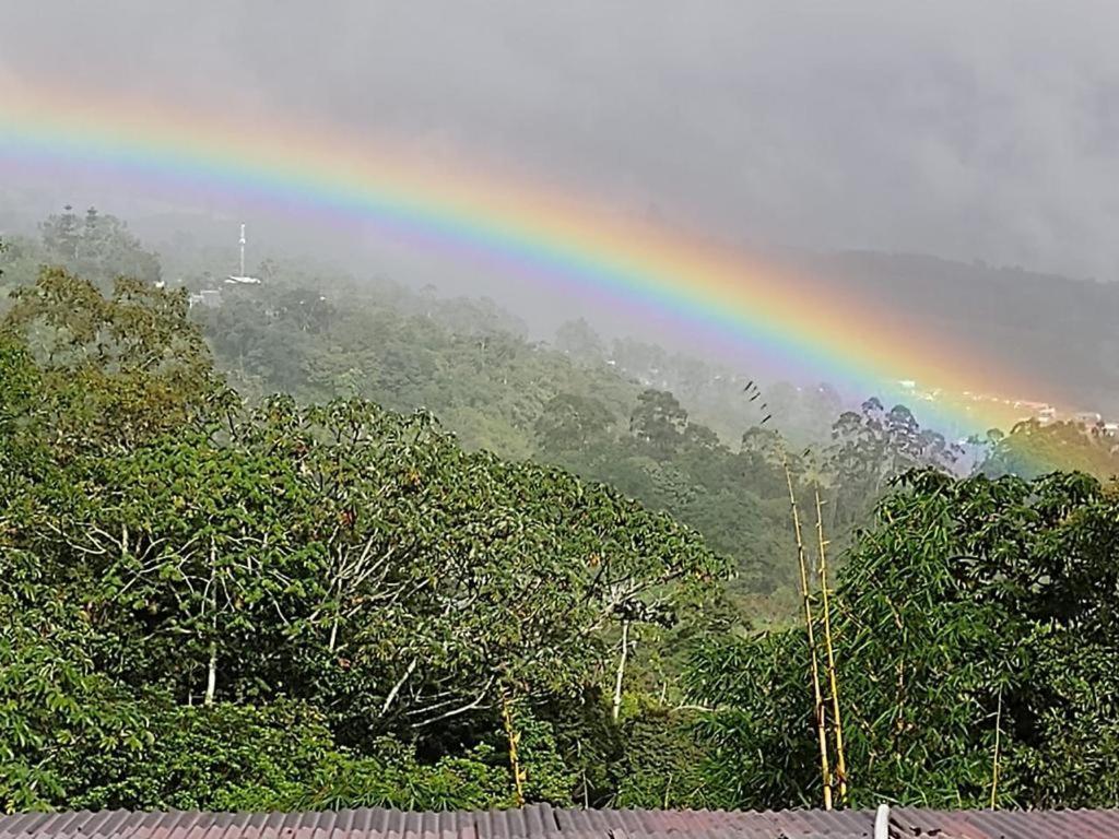 Hotel Green Mountain Turrialba Buitenkant foto