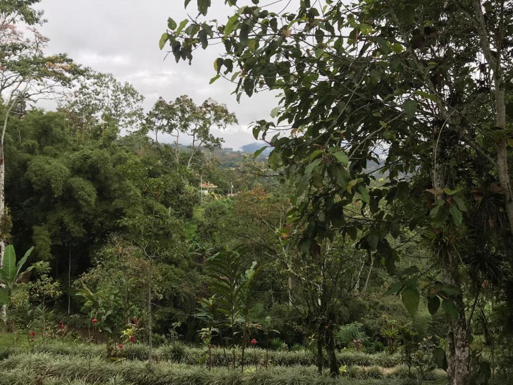 Hotel Green Mountain Turrialba Buitenkant foto