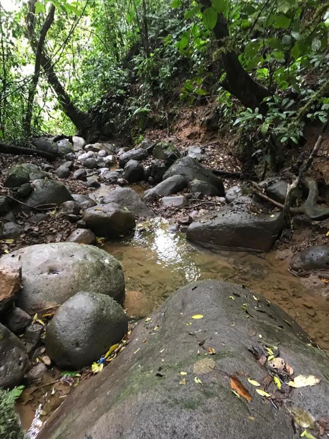 Hotel Green Mountain Turrialba Buitenkant foto