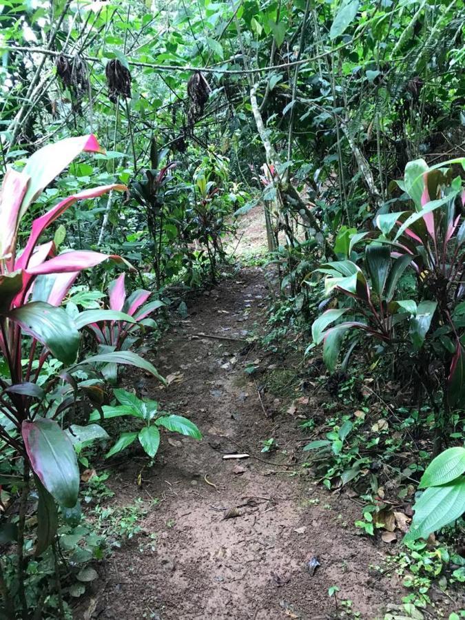 Hotel Green Mountain Turrialba Buitenkant foto