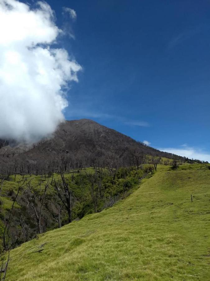 Hotel Green Mountain Turrialba Buitenkant foto