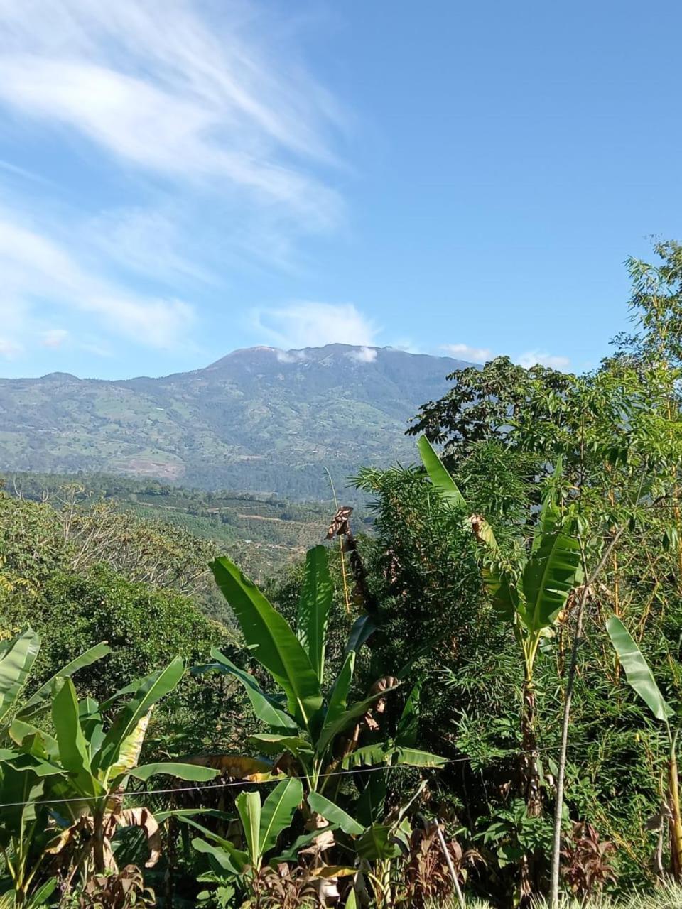 Hotel Green Mountain Turrialba Buitenkant foto