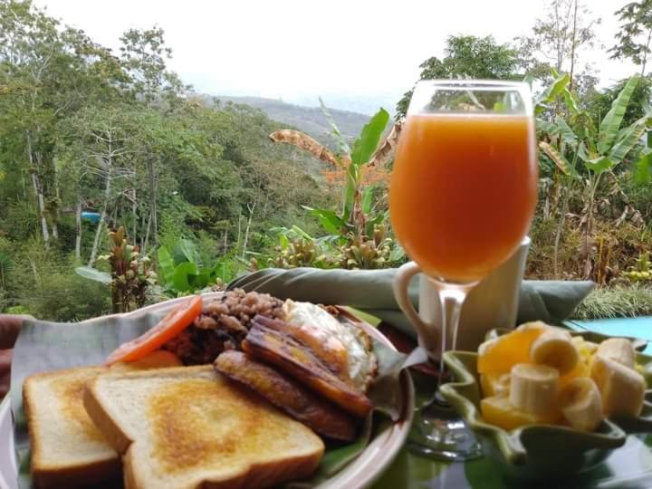 Hotel Green Mountain Turrialba Buitenkant foto