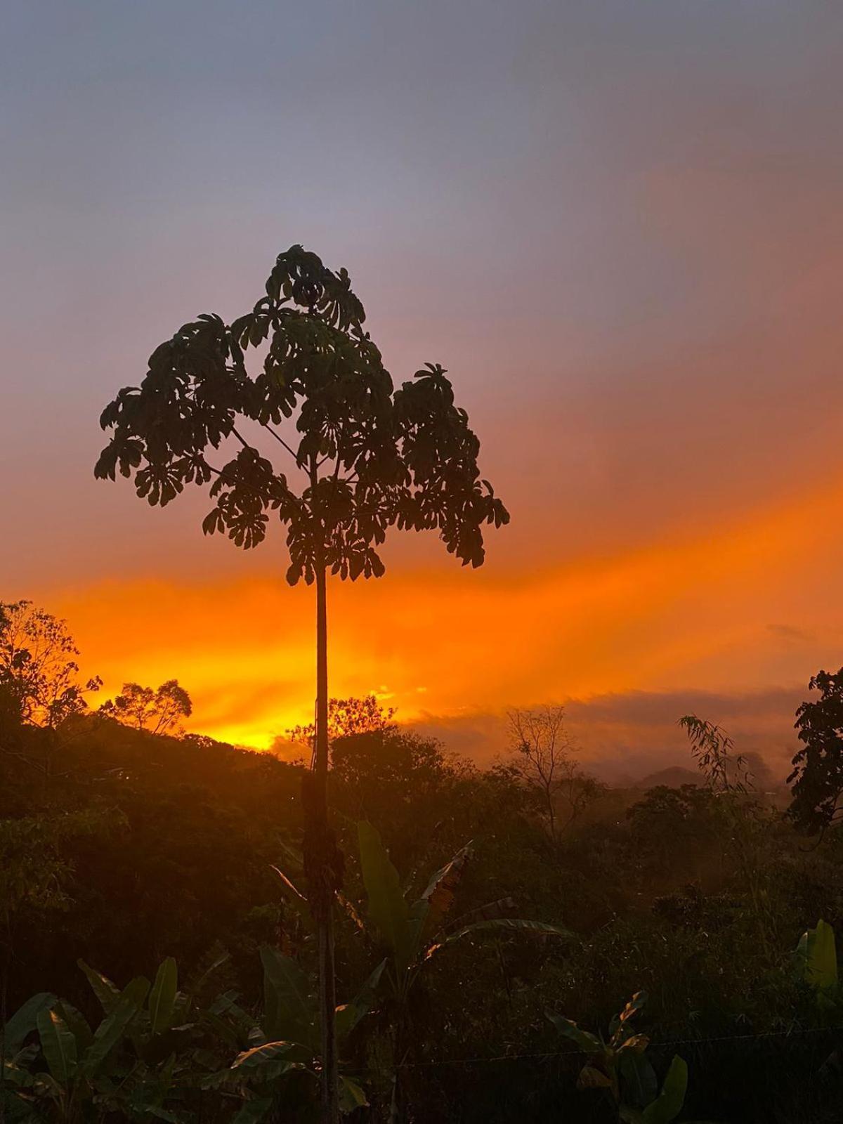 Hotel Green Mountain Turrialba Buitenkant foto